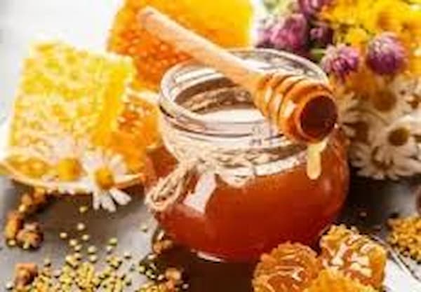 تصویر 1 از خرید عسل تغذیه ای + قیمت فروش استثنایی